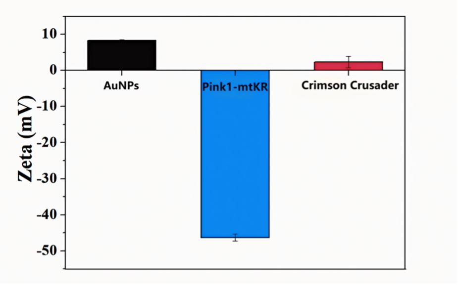 Fig. 1 Zeta potential measurement results of material system