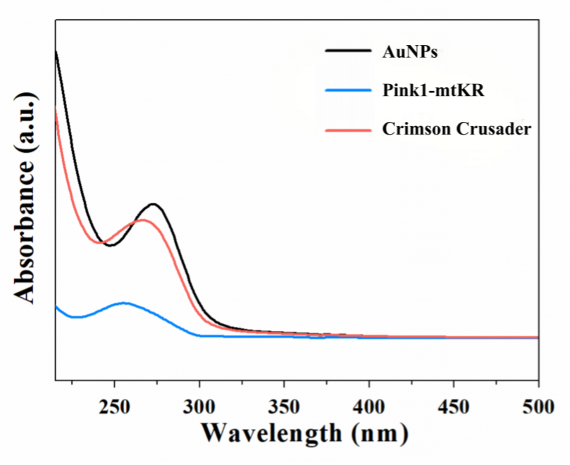 Fig. 2 UV-VIS absorption spectra of the material system