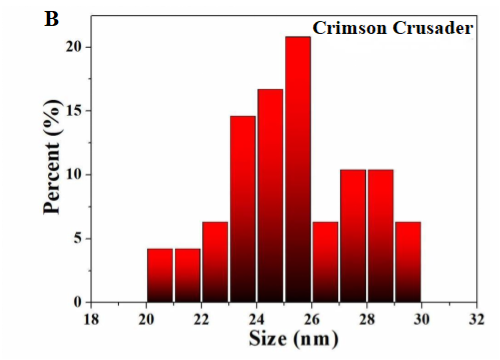 Fig 4.1 Transmission electron microscopy (TEM) results from Crimson Crusader.