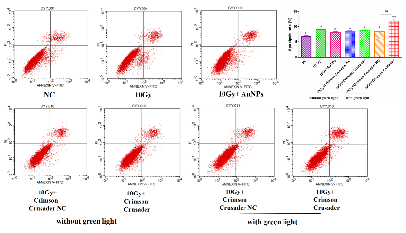 Fig. 8 The impact of KillerRed on A549 cell apoptosis detected by FACs